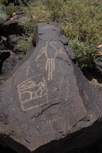 Macaw Petroglyph