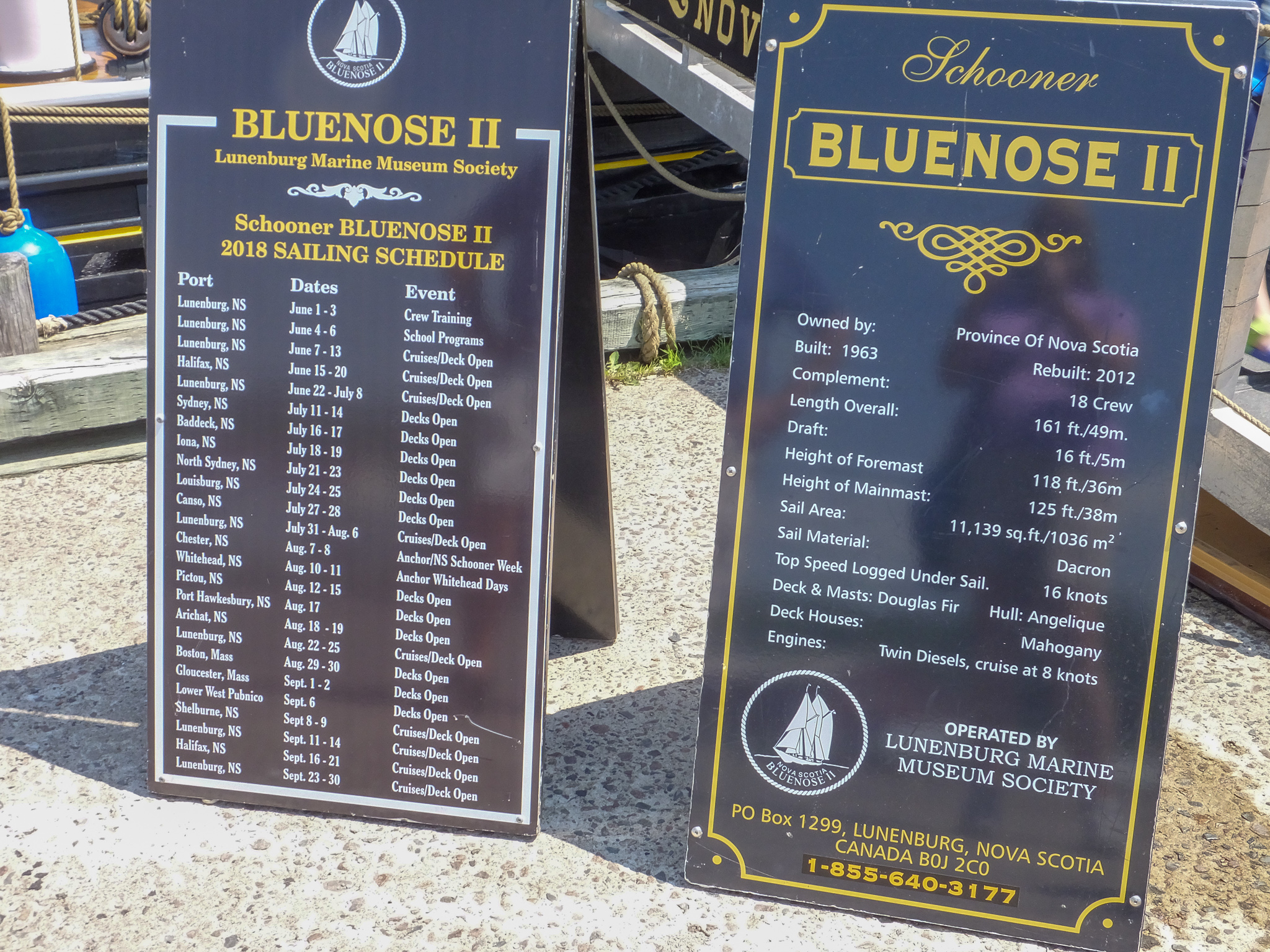 1807_BlueNose_2809