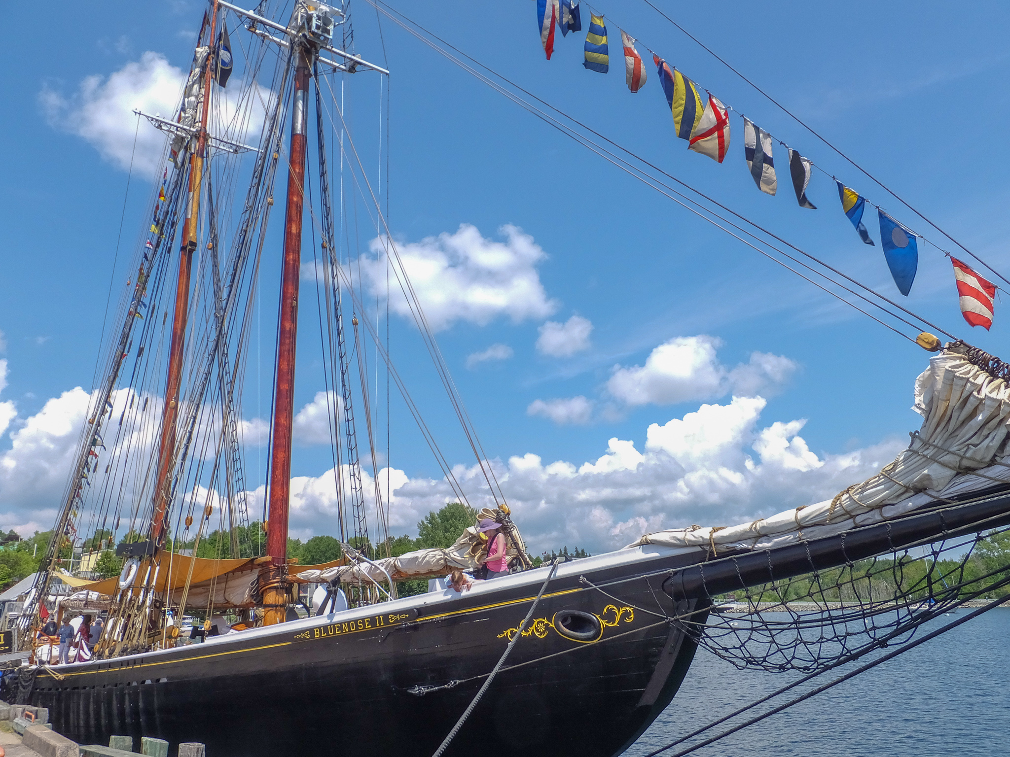 1807_BlueNose_2811