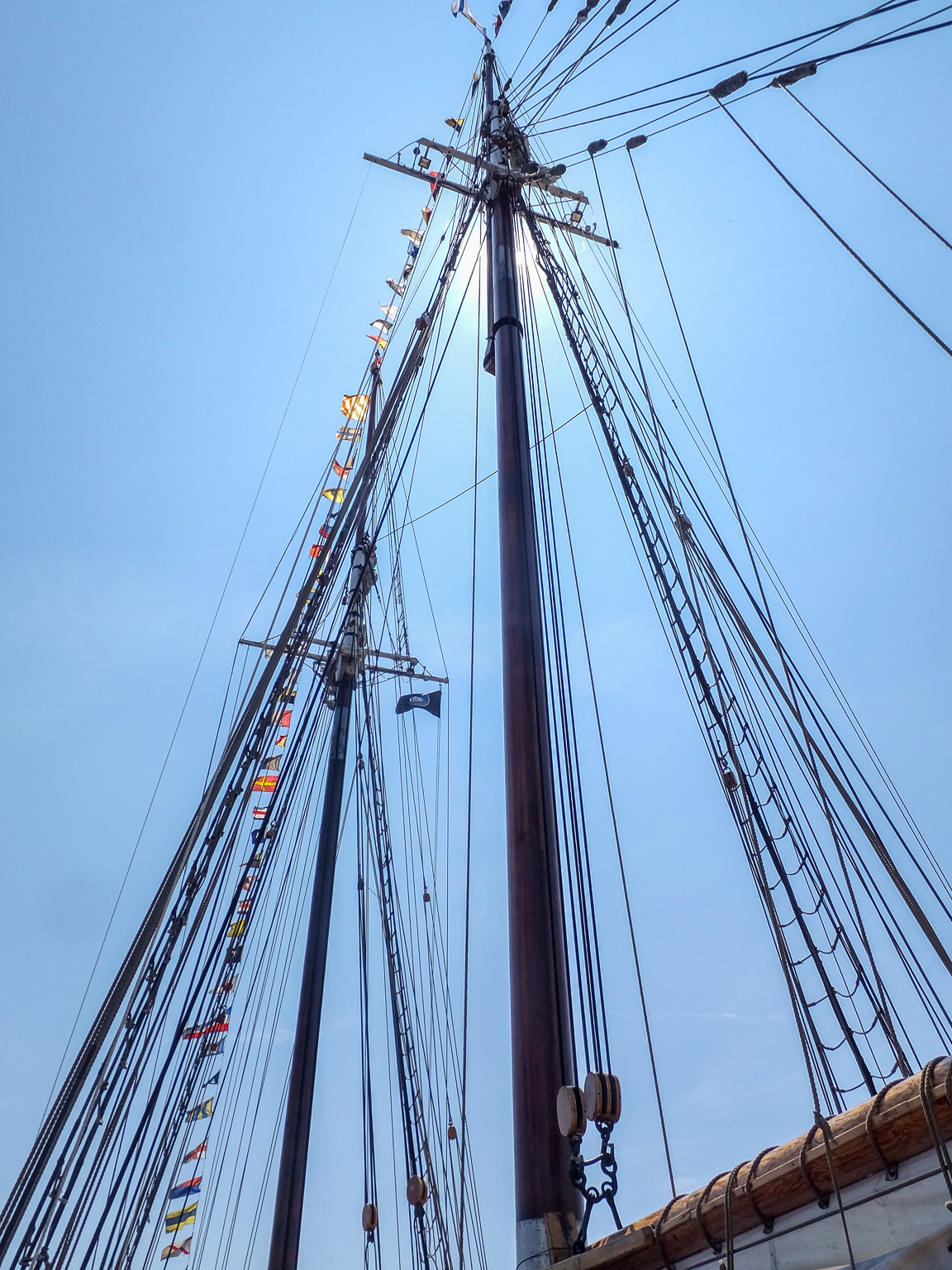 1807_BlueNose_2817