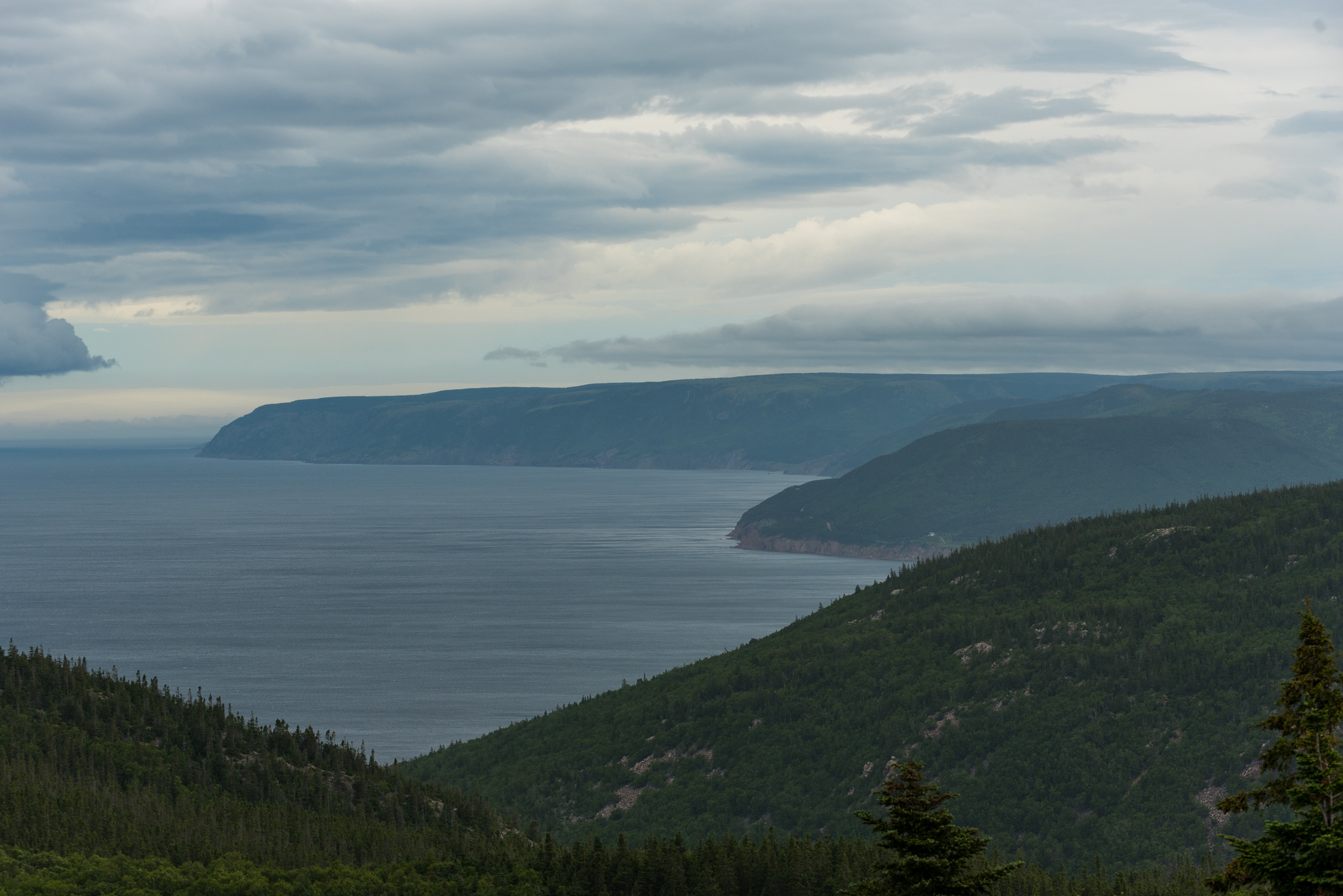 1807_CapeBreton_5358