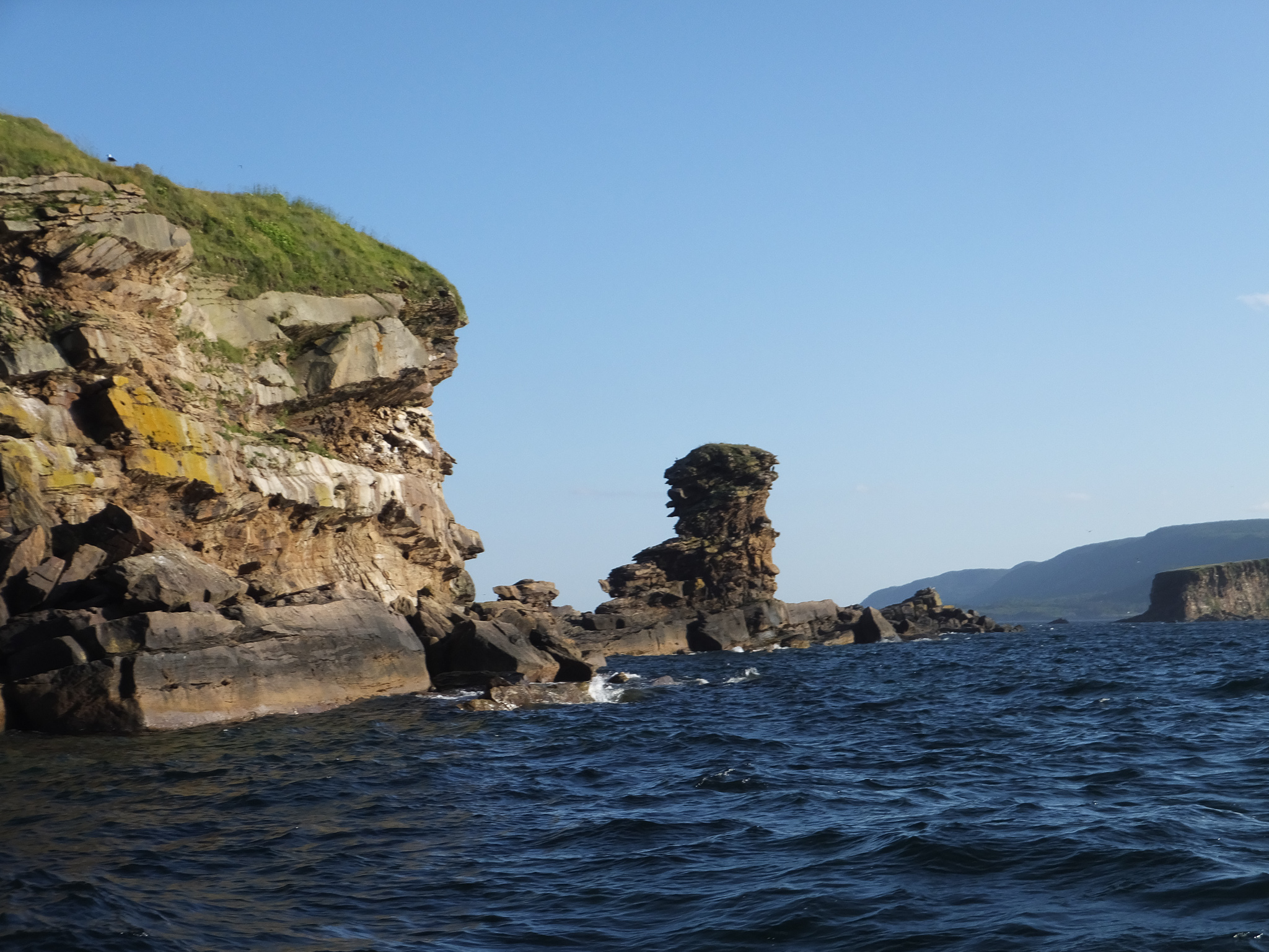 1807_PuffinViewing_2928