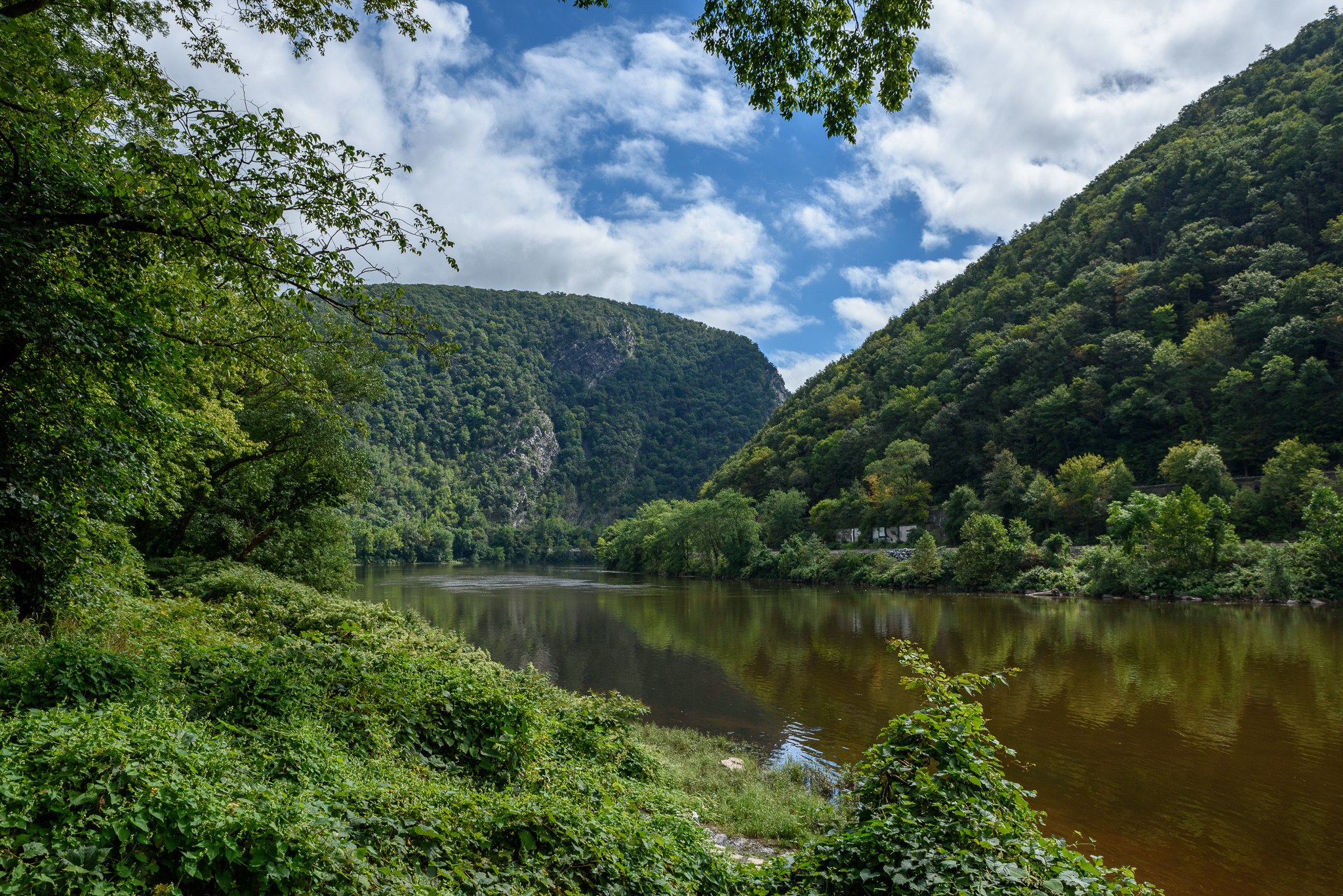 1809_Middlebrook_6793