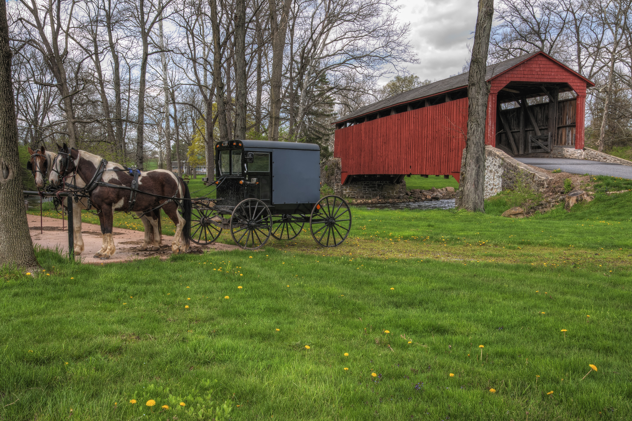 Amish Buggy Parked by Covered Bridge