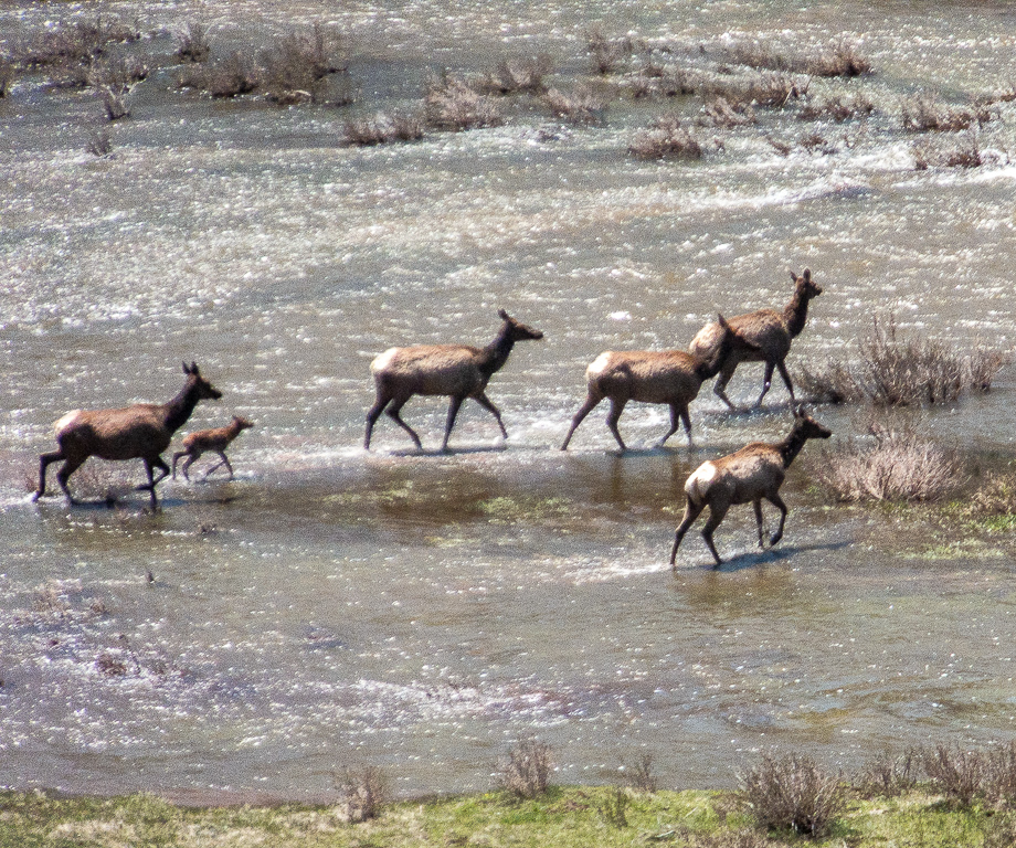 1906_Angel Fire_3315