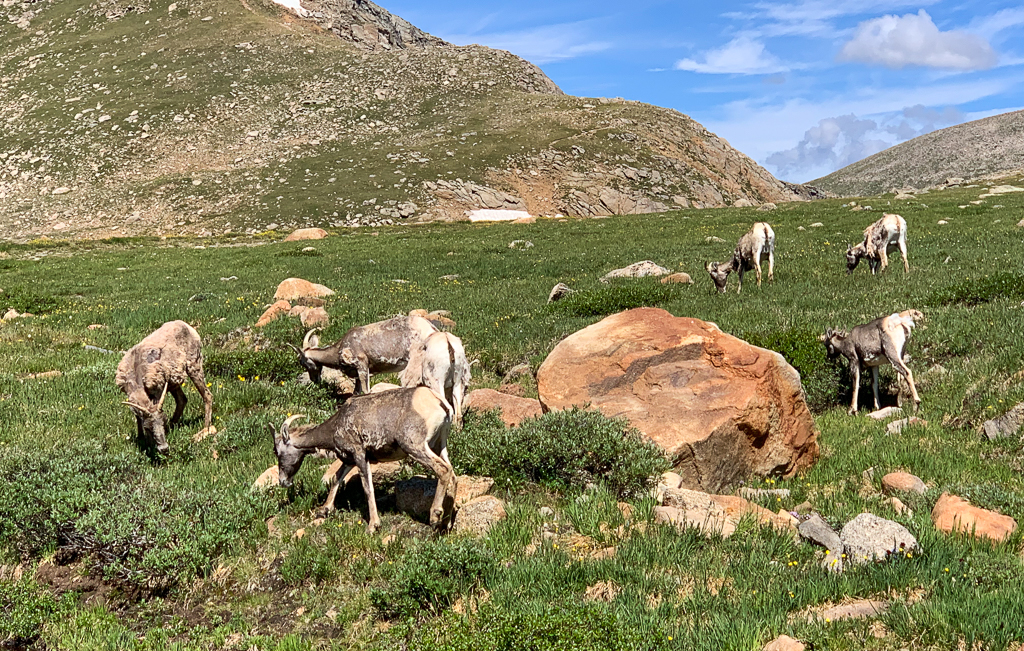 1908_Breckenridge_0382