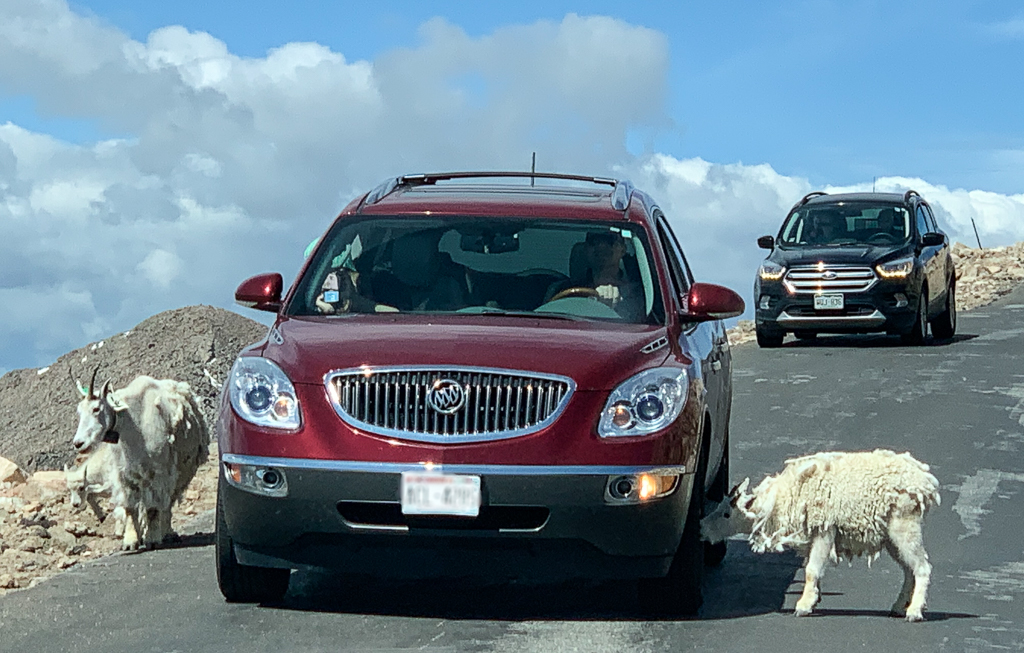 1908_Breckenridge_0414