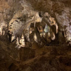 Aliens and Alien Landscapes