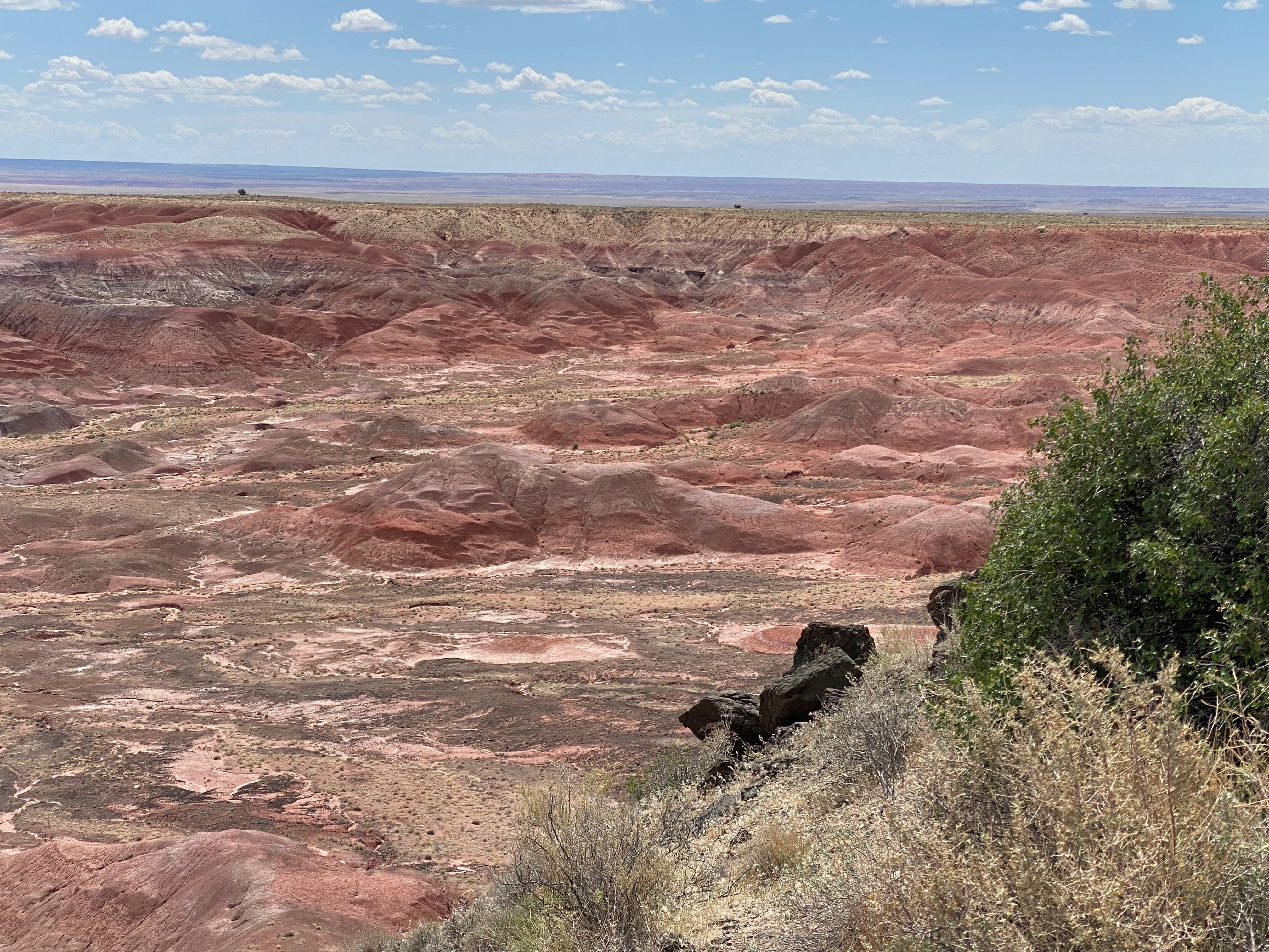 Painted, Petrified, and Petroglyph-ed
