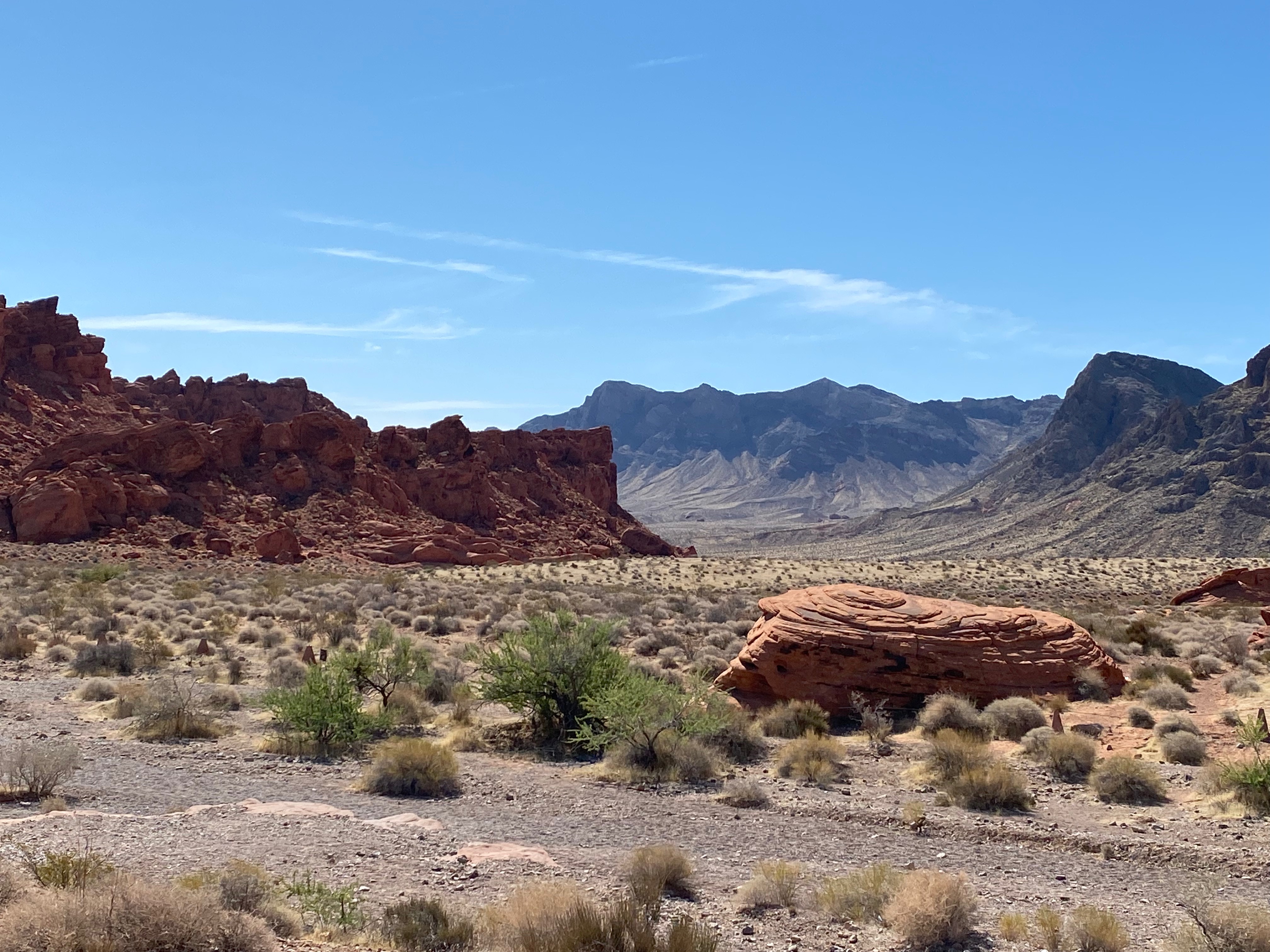 America’s Playground