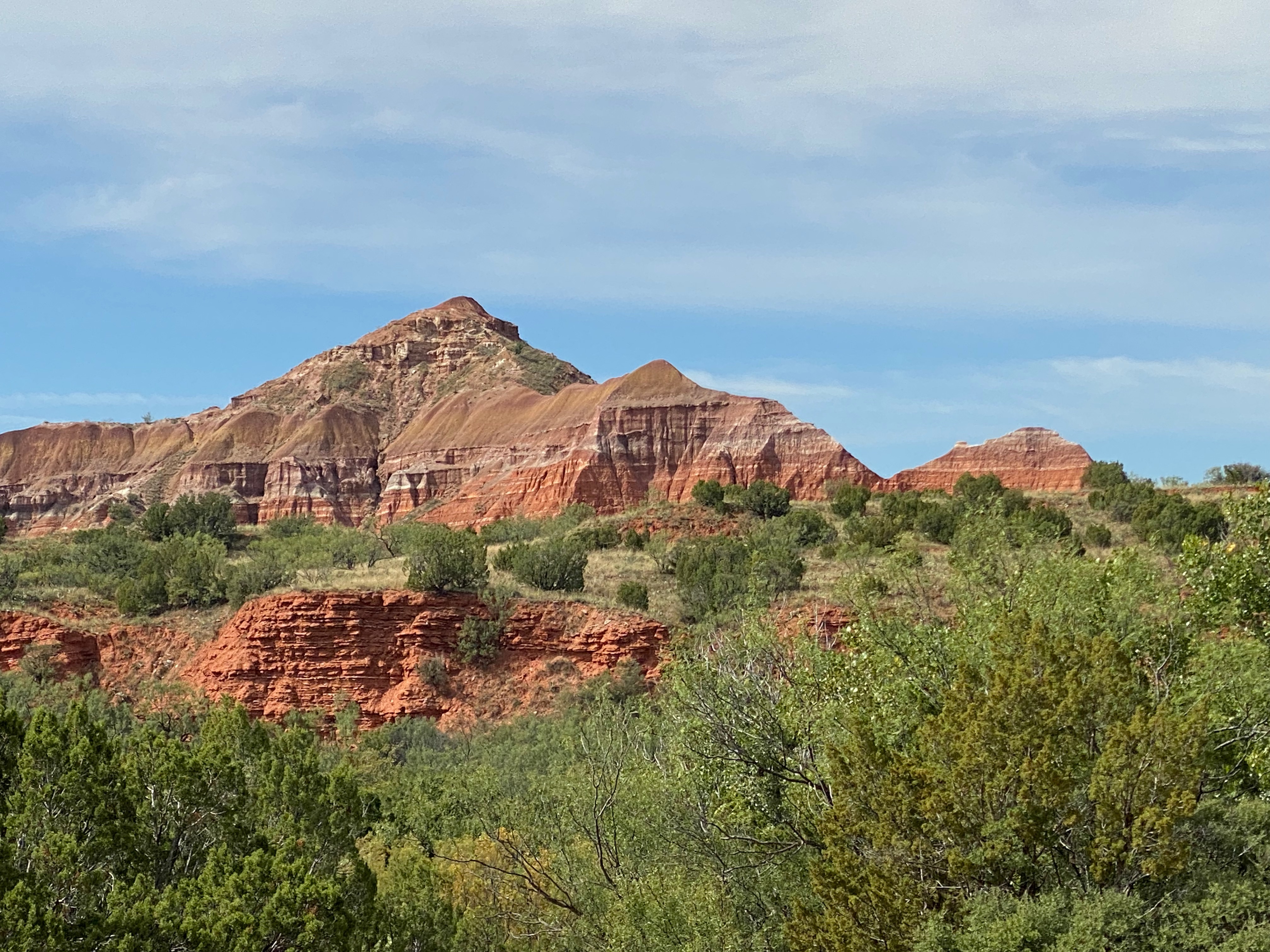 The Yellow Rose of Texas