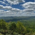 Georgia Wine Country