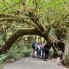 Olympic Peninsula, Washington
